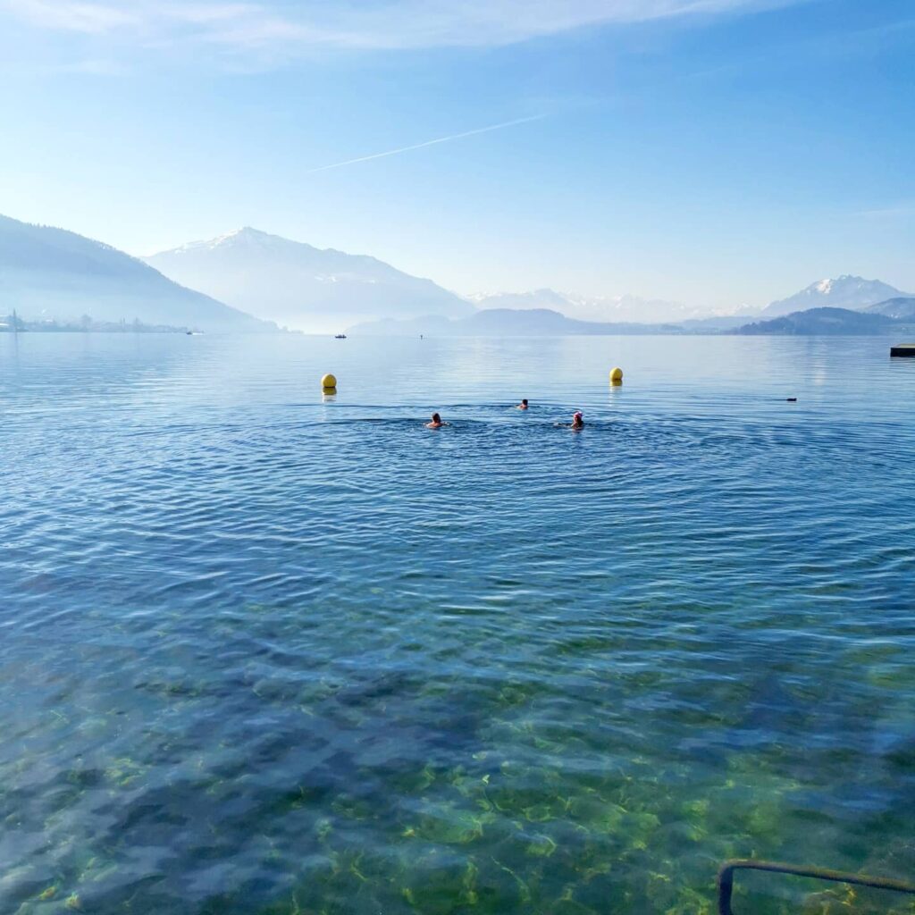 Swiss Cold Water Society community dip